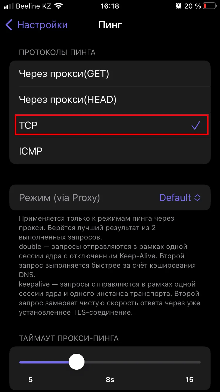 Выбранный TCP в разделе «Протоколы пинга»